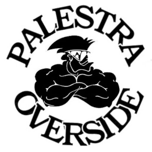 Palestra Overside Sesto San Giovanni