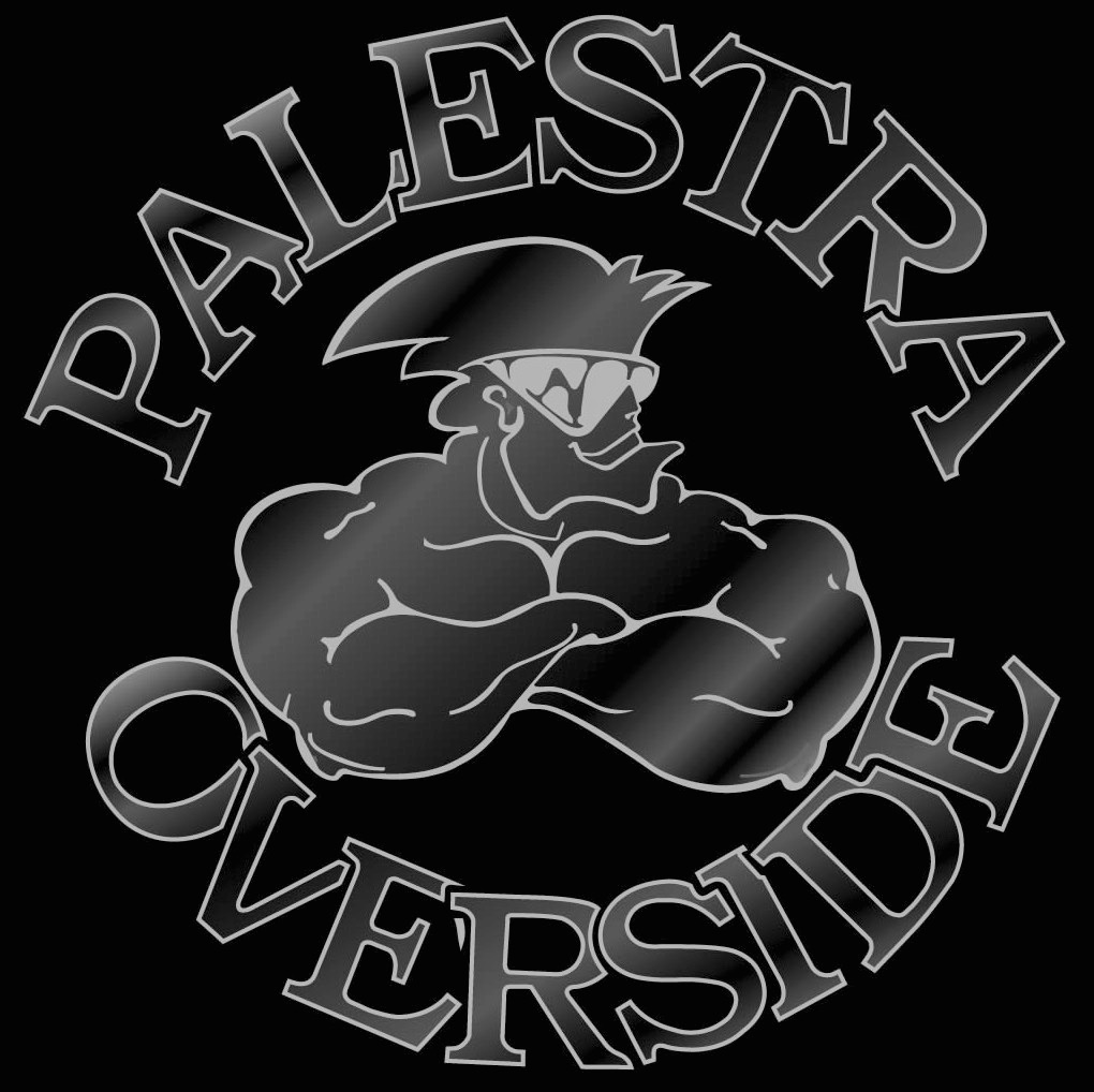 Palestra Overside Sesto San Giovanni logo