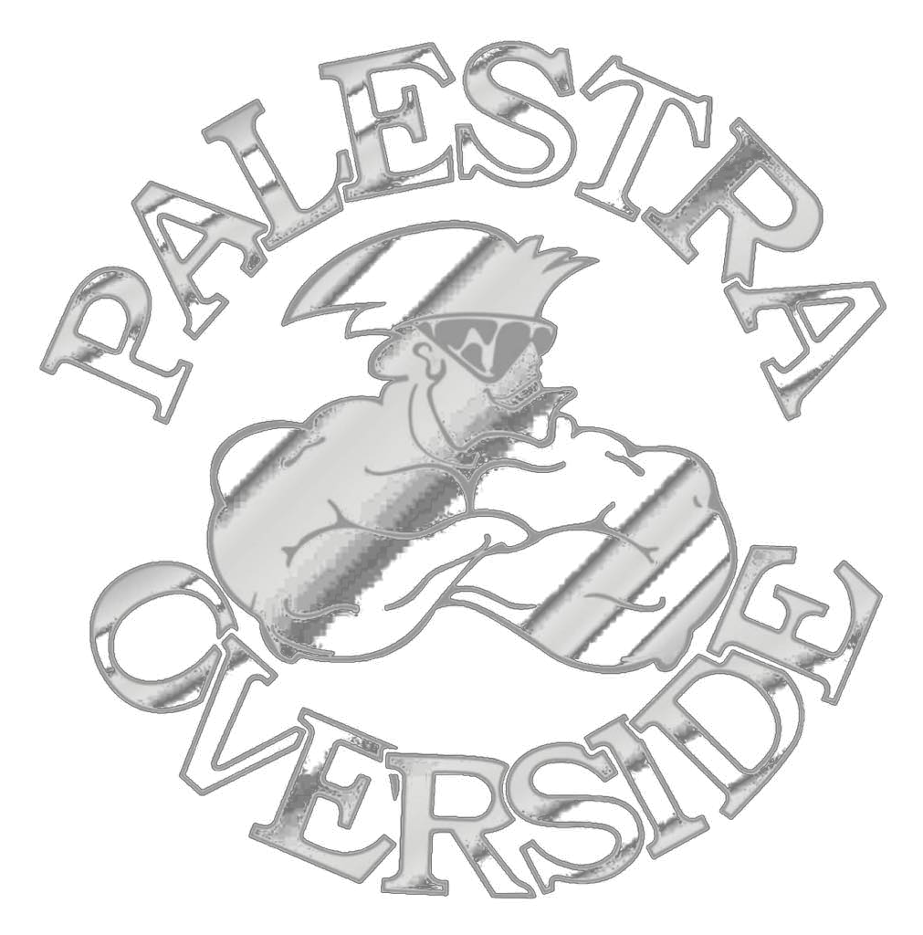 Palestra Overside Sesto San Giovanni
